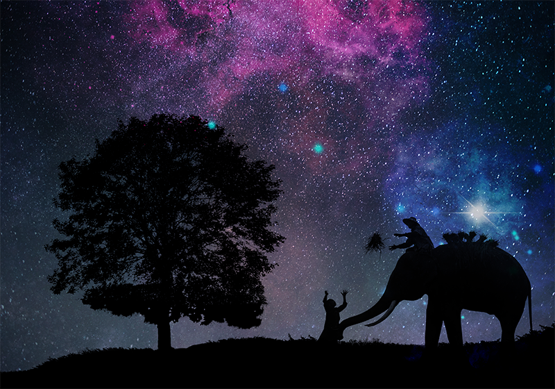 Kosmisk elefanteventyr vinyltæpper med dyr - TenStickers