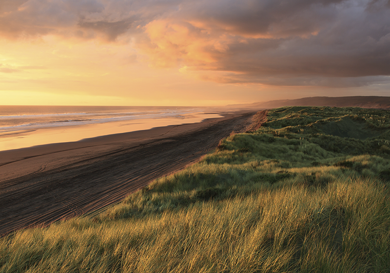 Solnedgangsstrandlandskab natur vinyl tæppe - TenStickers