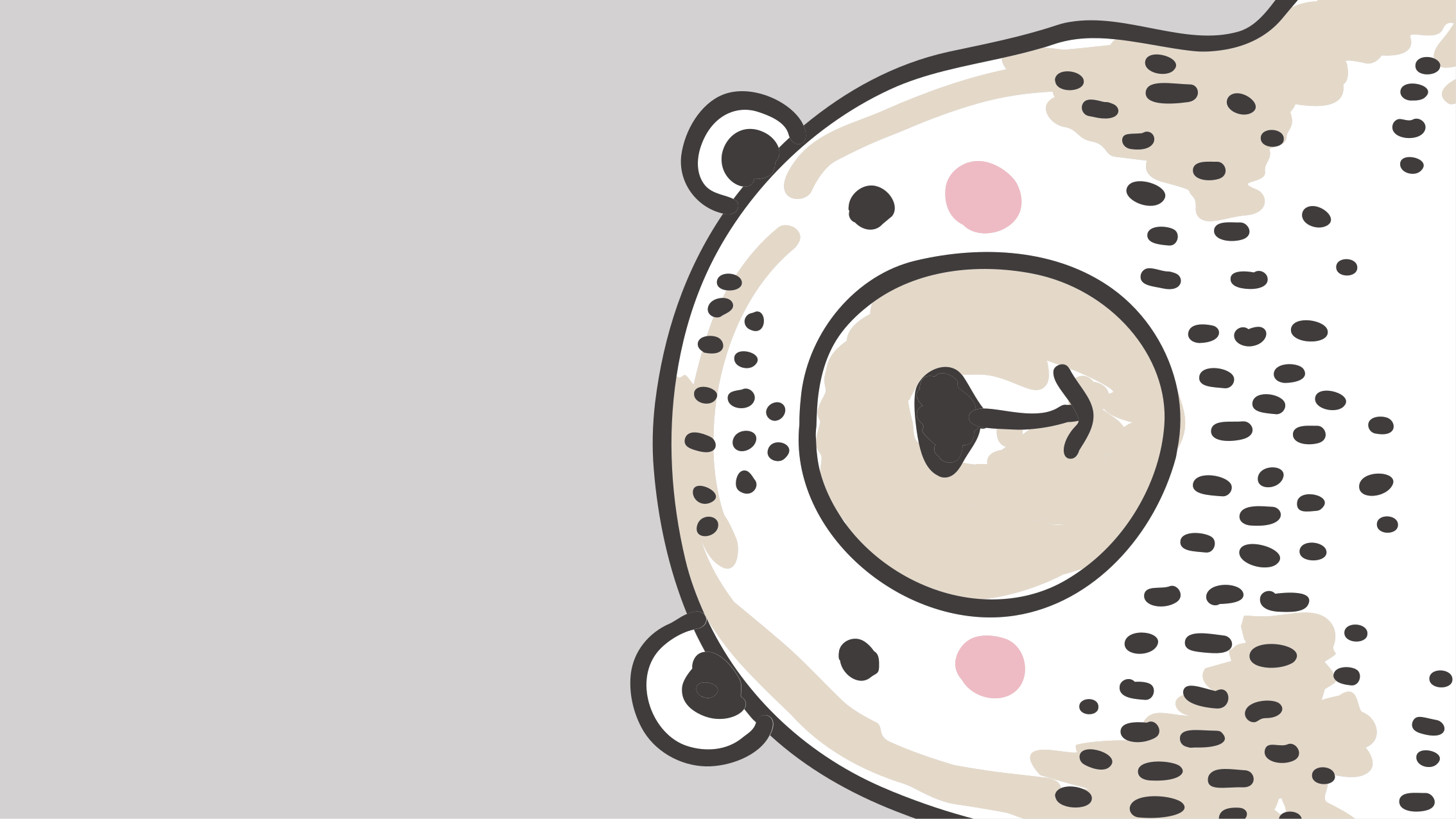 Bjørneansigtsform vinyl gulvtæppe til babyværelse - TenStickers