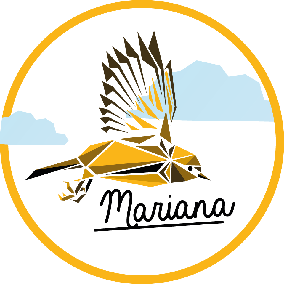 Personlig fugl vinyl tæppe med navn - TenStickers