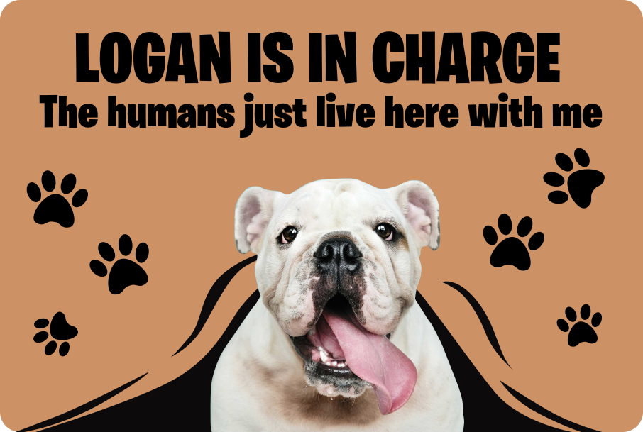 Brugerdefineret foto kæledyr vinyl tæpper til entre - TenStickers