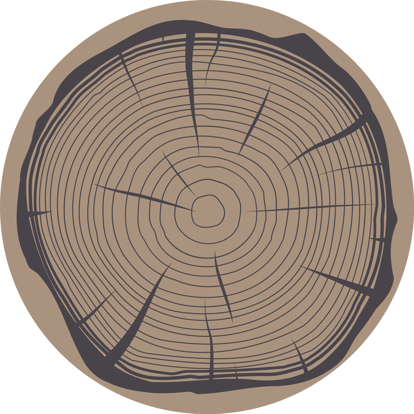 Træstamme vintage vinyltæpper - TenStickers