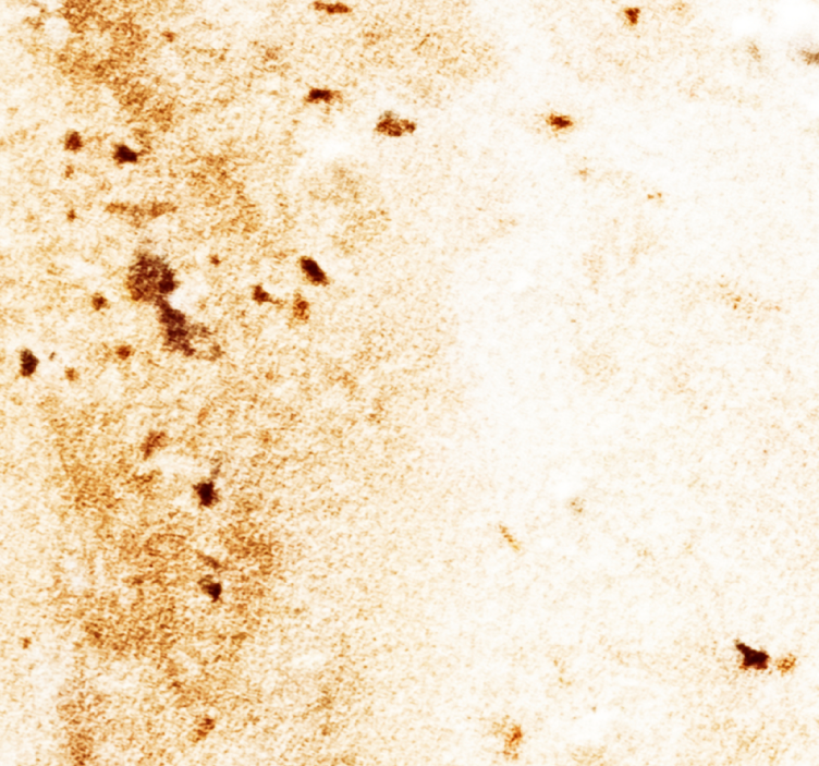 Blød marmor tekstur marmor tapet - TenStickers