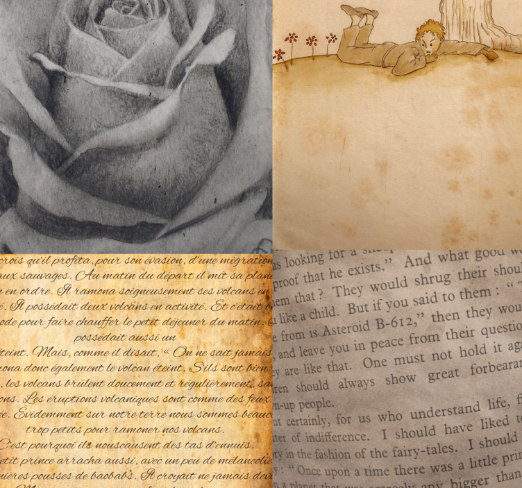 Den lille prins - budskab om kærligheds tapet - TenStickers