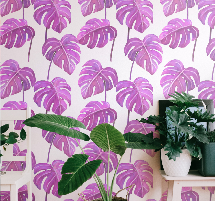 Monstera deliciosa tapet blade - TenStickers